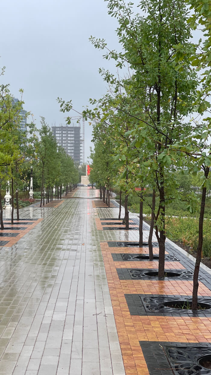 Приствольная решетка для дерева ZKING CRUST 1.2х1.2м Черная в Новокузнецке фото