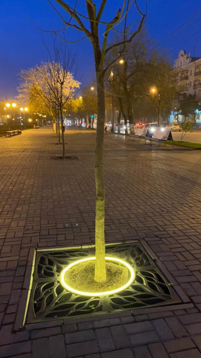 Приствольная решетка для дерева ZKING CRUST 1.2х1.2м Черная в Новокузнецке фото